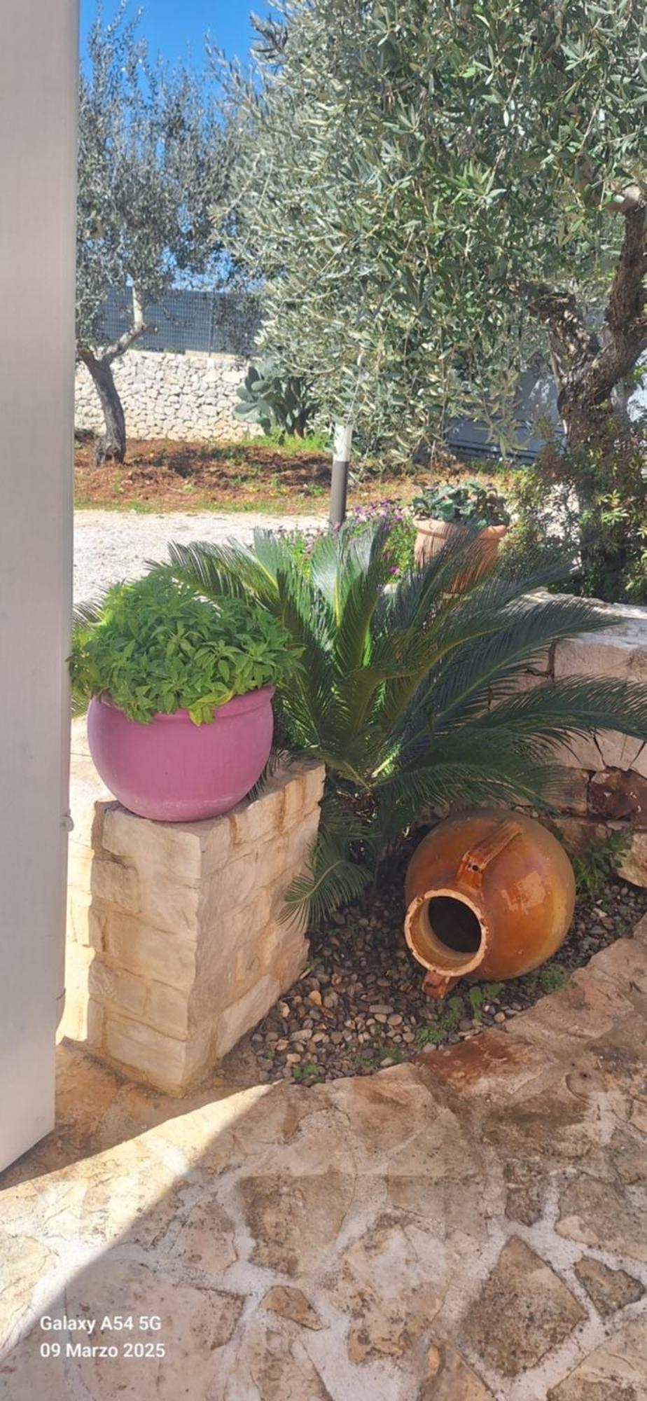 Baciati Dal Sole Διαμέρισμα Μαρτίνα Φράνκα Εξωτερικό φωτογραφία